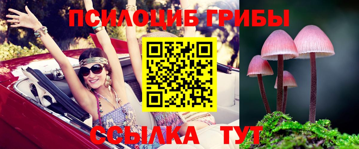 магазин продажи наркотиков  Вход с VPN  Химки  Псилоцибиновые грибы MAGIC MUSHROOMS 