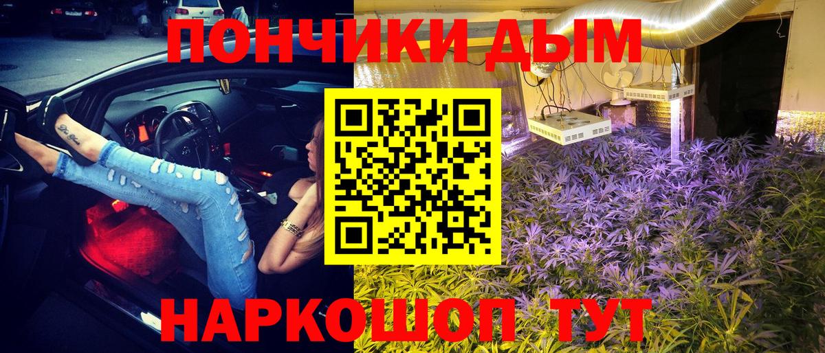 Бошки марихуана Amnesia  Вход с VPN  Марихуана MAZAR  Химки 